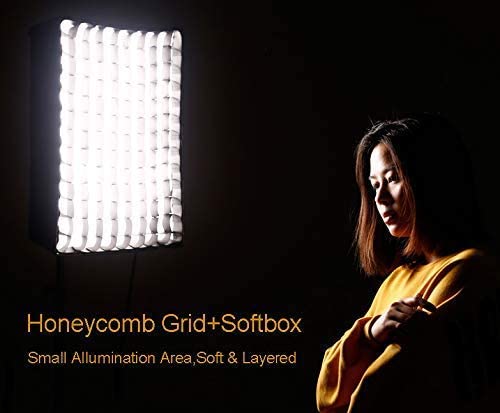 Optional gridded softbox with eggcrate for the RX-12T